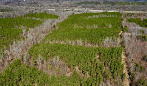 Photo #7 of SOLD property in Off Hog Wallow Road, Nathalie, VA 98.4 acres