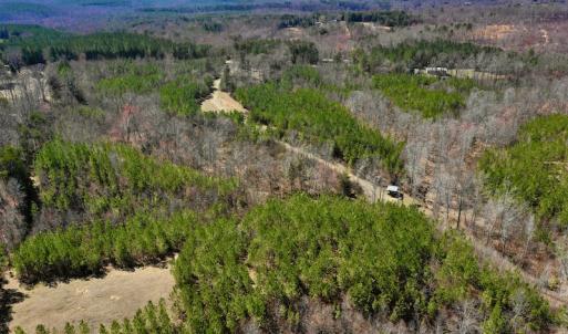 Photo #8 of SOLD property in Off Hog Wallow Road, Nathalie, VA 98.4 acres