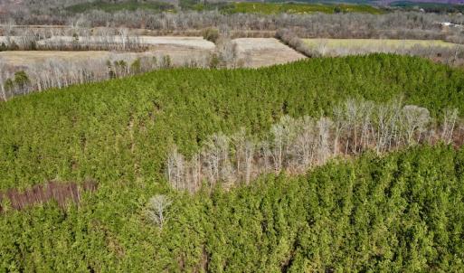 Photo #10 of SOLD property in Off Hog Wallow Road, Nathalie, VA 98.4 acres