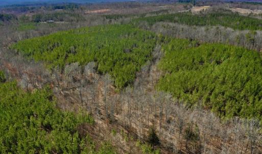 Photo #11 of SOLD property in Off Hog Wallow Road, Nathalie, VA 98.4 acres