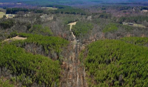 Photo #12 of SOLD property in Off Hog Wallow Road, Nathalie, VA 98.4 acres
