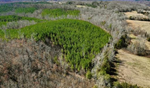 Photo #16 of SOLD property in Off Hog Wallow Road, Nathalie, VA 98.4 acres