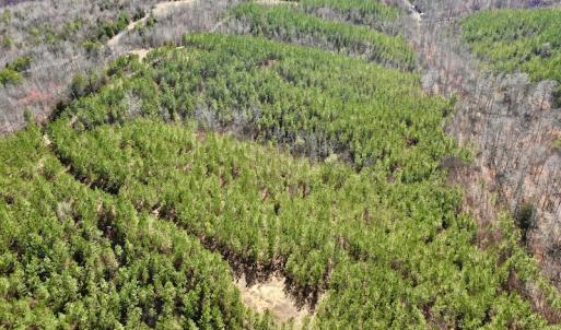 Photo #17 of SOLD property in Off Hog Wallow Road, Nathalie, VA 98.4 acres