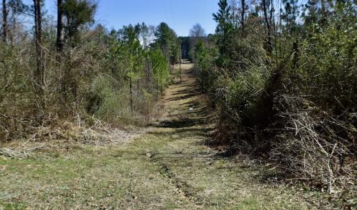 Photo #19 of SOLD property in Off Hog Wallow Road, Nathalie, VA 98.4 acres