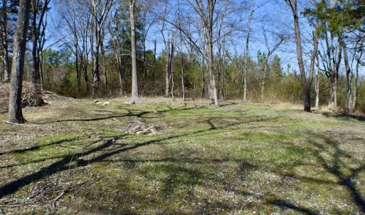 Photo #20 of SOLD property in Off Hog Wallow Road, Nathalie, VA 98.4 acres