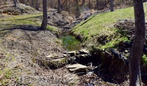 Photo #22 of SOLD property in Off Hog Wallow Road, Nathalie, VA 98.4 acres