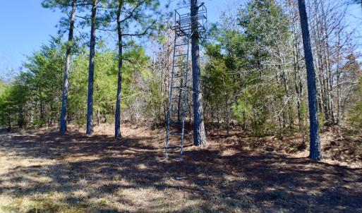 Photo #24 of SOLD property in Off Hog Wallow Road, Nathalie, VA 98.4 acres