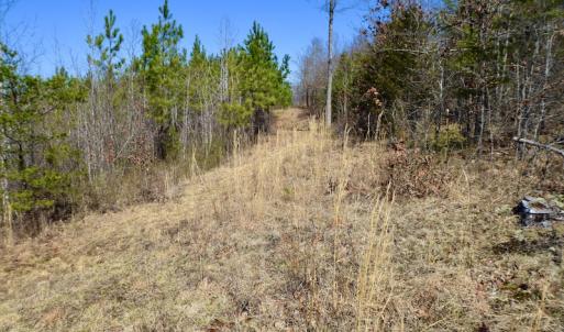 Photo #26 of SOLD property in Off Hog Wallow Road, Nathalie, VA 98.4 acres