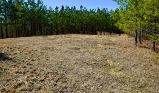 Photo #29 of SOLD property in Off Hog Wallow Road, Nathalie, VA 98.4 acres