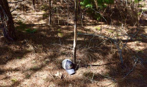 Photo #30 of SOLD property in Off Hog Wallow Road, Nathalie, VA 98.4 acres
