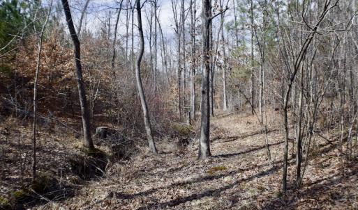Photo #32 of SOLD property in Off Hog Wallow Road, Nathalie, VA 98.4 acres