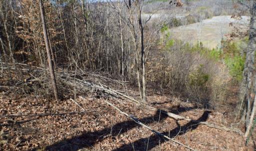 Photo #33 of SOLD property in Off Hog Wallow Road, Nathalie, VA 98.4 acres