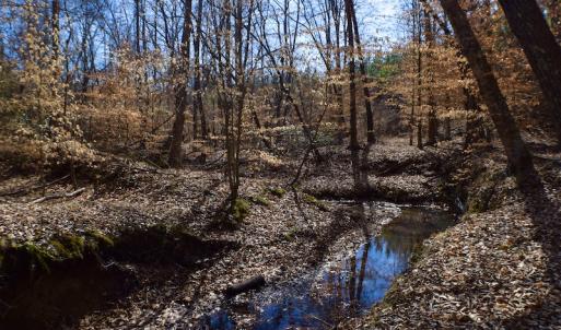 Photo #37 of SOLD property in Off Hog Wallow Road, Nathalie, VA 98.4 acres