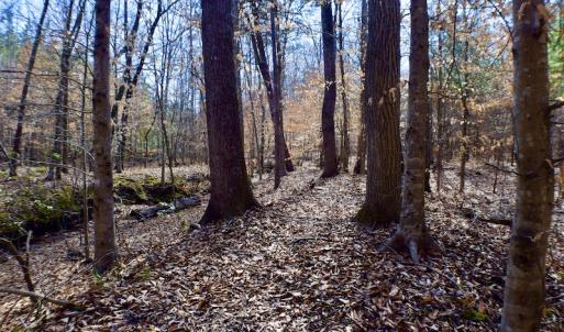 Photo #38 of SOLD property in Off Hog Wallow Road, Nathalie, VA 98.4 acres