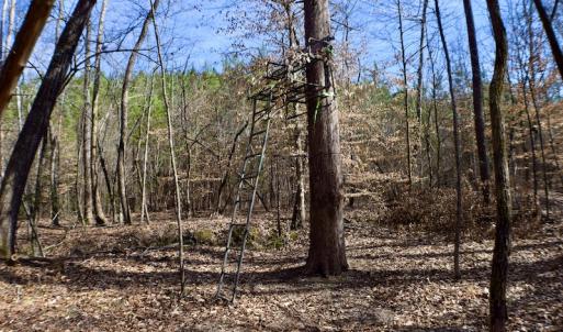 Photo #39 of SOLD property in Off Hog Wallow Road, Nathalie, VA 98.4 acres