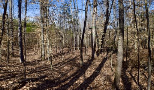Photo #40 of SOLD property in Off Hog Wallow Road, Nathalie, VA 98.4 acres