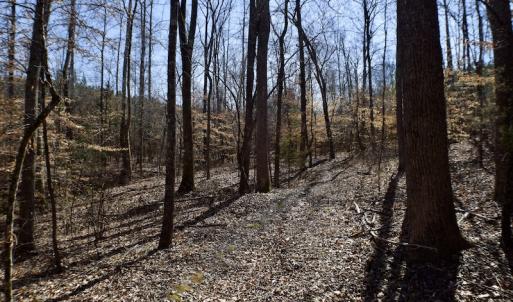 Photo #41 of SOLD property in Off Hog Wallow Road, Nathalie, VA 98.4 acres