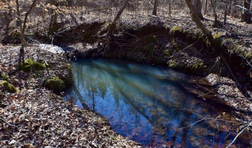 Photo #42 of SOLD property in Off Hog Wallow Road, Nathalie, VA 98.4 acres