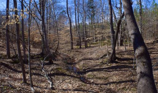 Photo #43 of SOLD property in Off Hog Wallow Road, Nathalie, VA 98.4 acres
