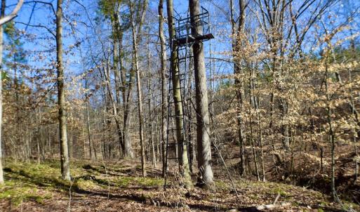 Photo #44 of SOLD property in Off Hog Wallow Road, Nathalie, VA 98.4 acres