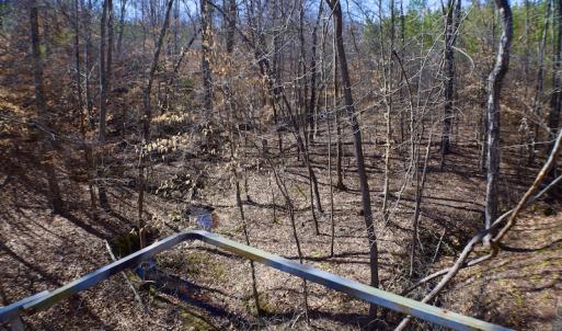 Photo #45 of SOLD property in Off Hog Wallow Road, Nathalie, VA 98.4 acres