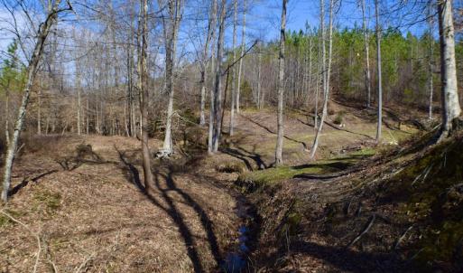Photo #46 of SOLD property in Off Hog Wallow Road, Nathalie, VA 98.4 acres