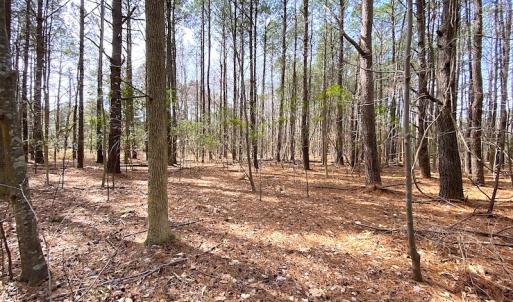 Photo #10 of SOLD property in Off Meadow Drive, Smithfield, VA 5.0 acres