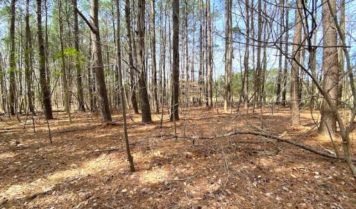 Photo #11 of SOLD property in Off Meadow Drive, Smithfield, VA 5.0 acres