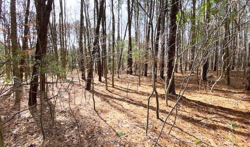 Photo #12 of SOLD property in Off Meadow Drive, Smithfield, VA 5.0 acres