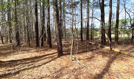 Photo #13 of SOLD property in Off Meadow Drive, Smithfield, VA 5.0 acres