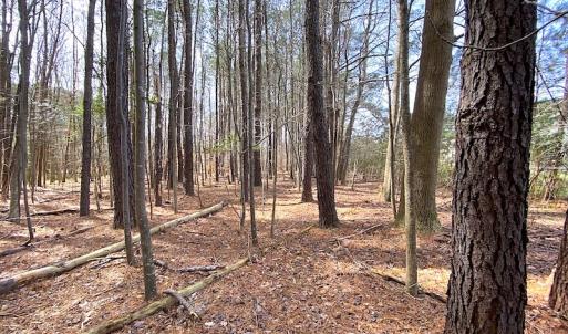 Photo #15 of SOLD property in Off Meadow Drive, Smithfield, VA 5.0 acres