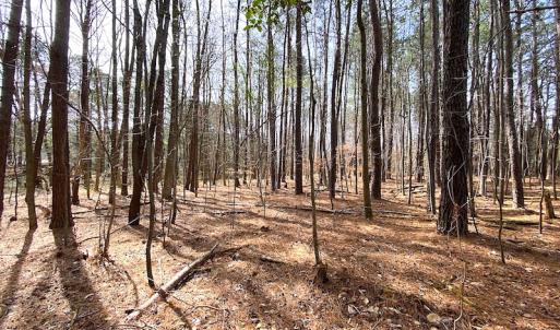 Photo #18 of SOLD property in Off Meadow Drive, Smithfield, VA 5.0 acres