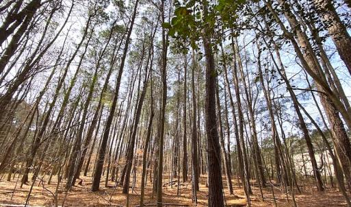 Photo #19 of SOLD property in Off Meadow Drive, Smithfield, VA 5.0 acres