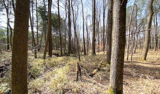 Photo #20 of SOLD property in Off Meadow Drive, Smithfield, VA 5.0 acres