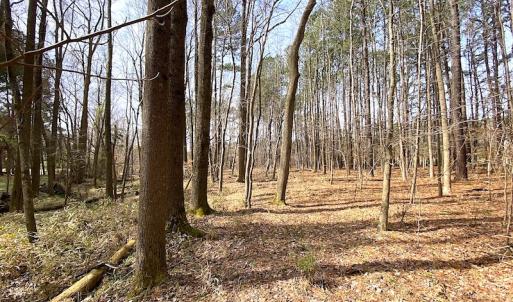 Photo #21 of SOLD property in Off Meadow Drive, Smithfield, VA 5.0 acres