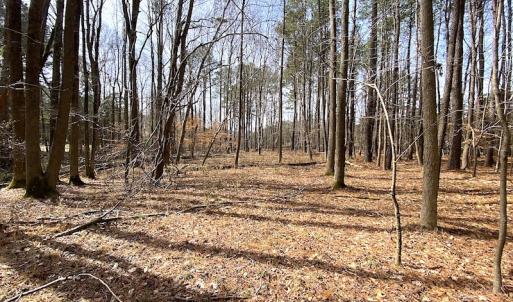 Photo #22 of SOLD property in Off Meadow Drive, Smithfield, VA 5.0 acres