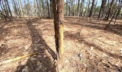 Photo #24 of SOLD property in Off Meadow Drive, Smithfield, VA 5.0 acres