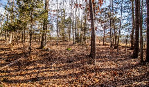 Photo #15 of SOLD property in Off Epps Martin Road, Roxboro, NC 2.0 acres