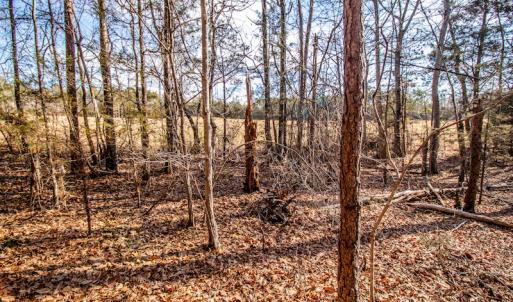 Photo #16 of SOLD property in Off Epps Martin Road, Roxboro, NC 2.0 acres