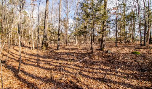 Photo #17 of SOLD property in Off Epps Martin Road, Roxboro, NC 2.0 acres