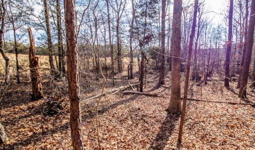 Photo #18 of SOLD property in Off Epps Martin Road, Roxboro, NC 2.0 acres