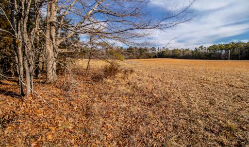 Photo #19 of SOLD property in Off Epps Martin Road, Roxboro, NC 2.0 acres