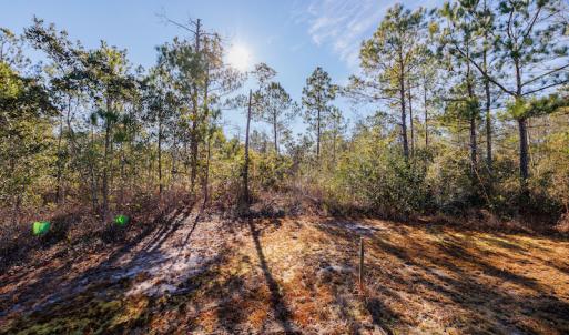 Photo #18 of SOLD property in 837 Bricklanding Road SW, Shallotte, NC 2.3 acres