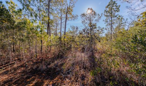 Photo #20 of SOLD property in 837 Bricklanding Road SW, Shallotte, NC 2.3 acres