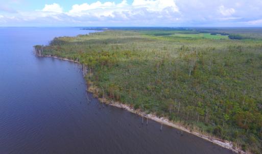 Photo #5 of SOLD property in Off Texas Road, Shiloh, NC 1,340.0 acres