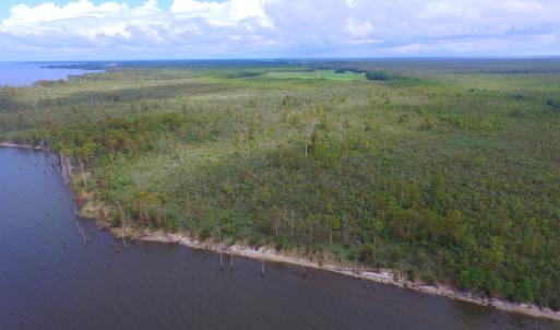 Photo #6 of SOLD property in Off Texas Road, Shiloh, NC 1,340.0 acres