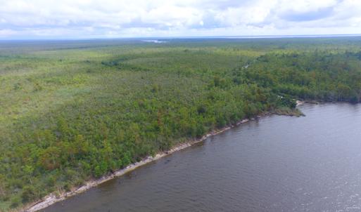Photo #7 of SOLD property in Off Texas Road, Shiloh, NC 1,340.0 acres