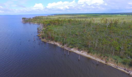 Photo #8 of SOLD property in Off Texas Road, Shiloh, NC 1,340.0 acres