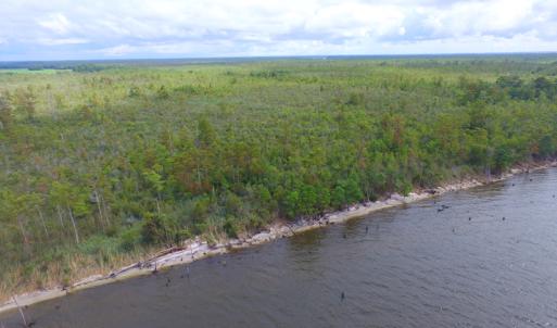 Photo #9 of SOLD property in Off Texas Road, Shiloh, NC 1,340.0 acres