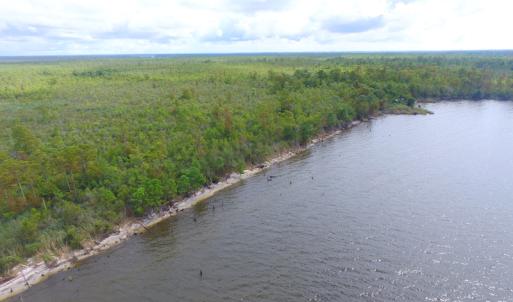 Photo #10 of SOLD property in Off Texas Road, Shiloh, NC 1,340.0 acres
